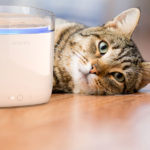 Xiaomi Petoneer Fresco Mini Pro WF001