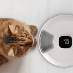 Xiaomi Petoneer NutriSpin 6 Meal Pet Feeder PF006