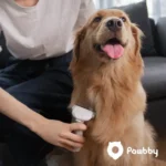 Pawbby Pets Hair Removal Comb MG-PCO001